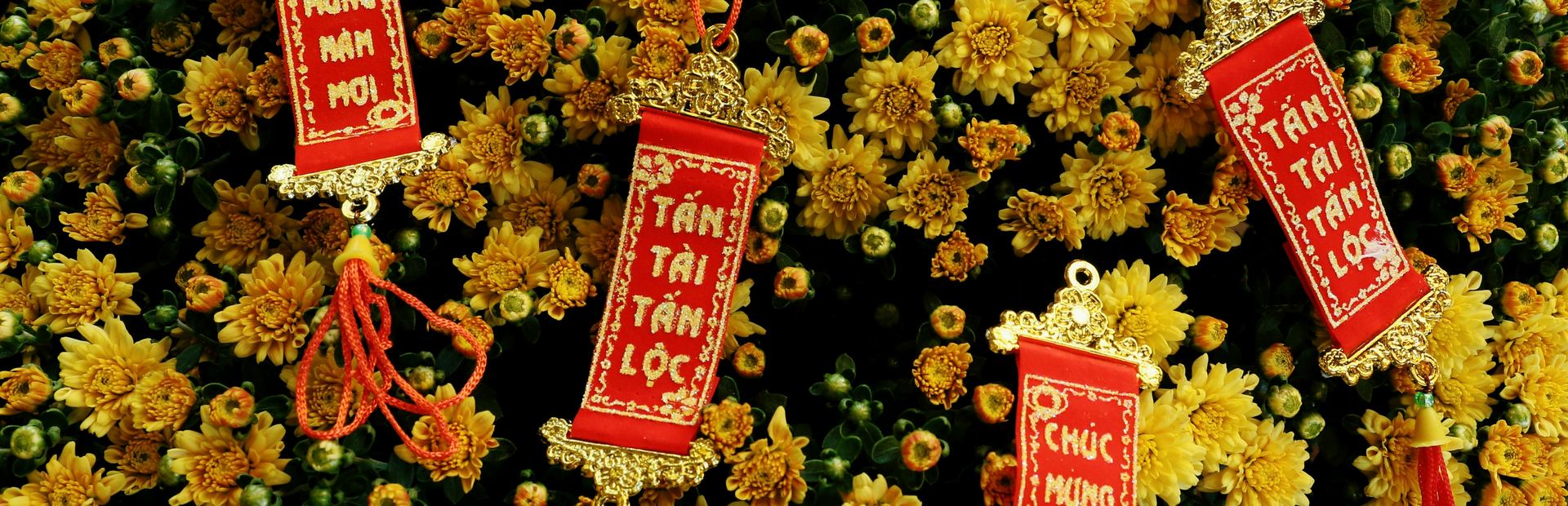 Yellow chrysanthemums with red Lunar New Year wish banners